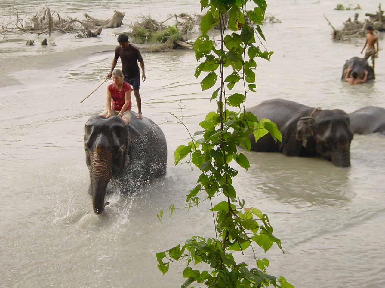 Poon Hill Trek & Chitwan Tour