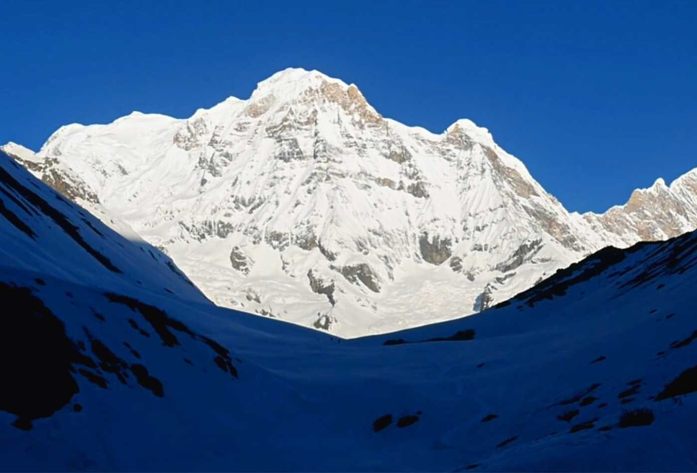 Annapurna 1 standing tall in in front with snow and blue sky during sunrise in morning, while heading to annapurna base camp. 