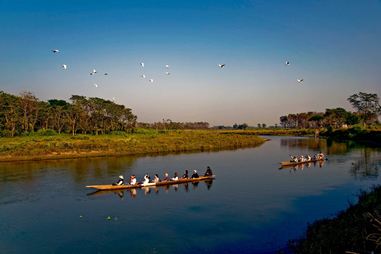 A view of the Rapti River in Chitwan National Park, with several tourists' canoes and boats in the river. Birds can be seen flying over the river. The river is surrounded by lush green trees and bushes, and the sky is partly cloudy.
