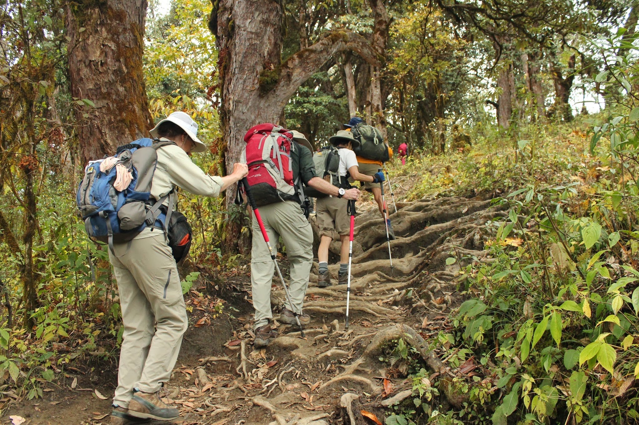 Poon Hill Trek & Chitwan Tour