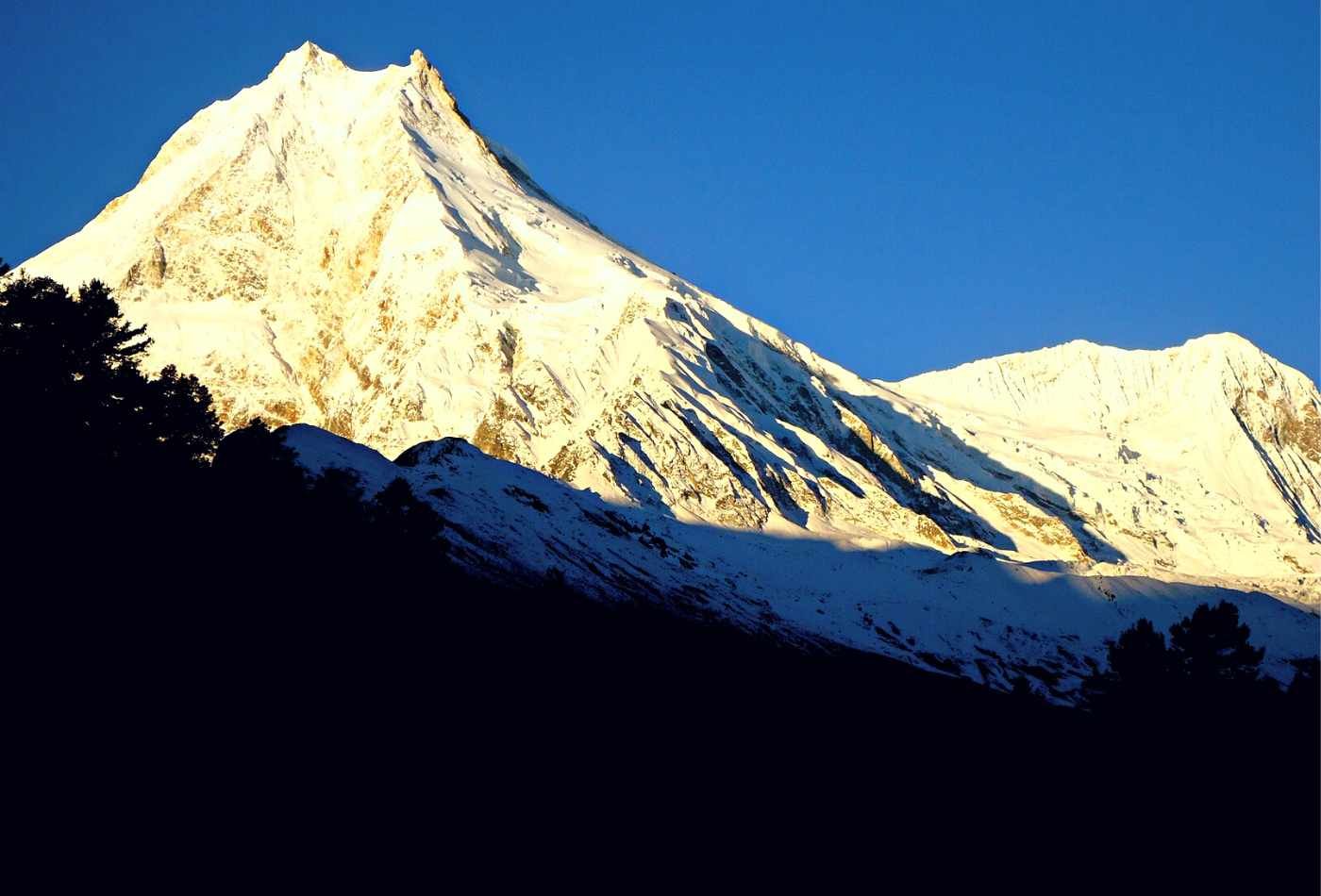 A breathtaking image of Mt. Manaslu at sunrise, captured from Lho village. The summit is covered in snow, highlighting its grandeur and magnificence.